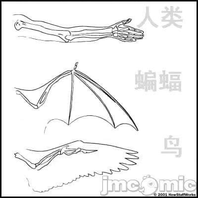 科学存在的人外娘观察日记 科学存在的人外娘观察日记2-5.zip 第110页