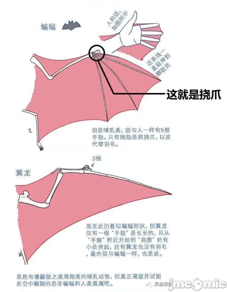 科学存在的人外娘观察日记 科学存在的人外娘观察日记2-5.zip 第111页