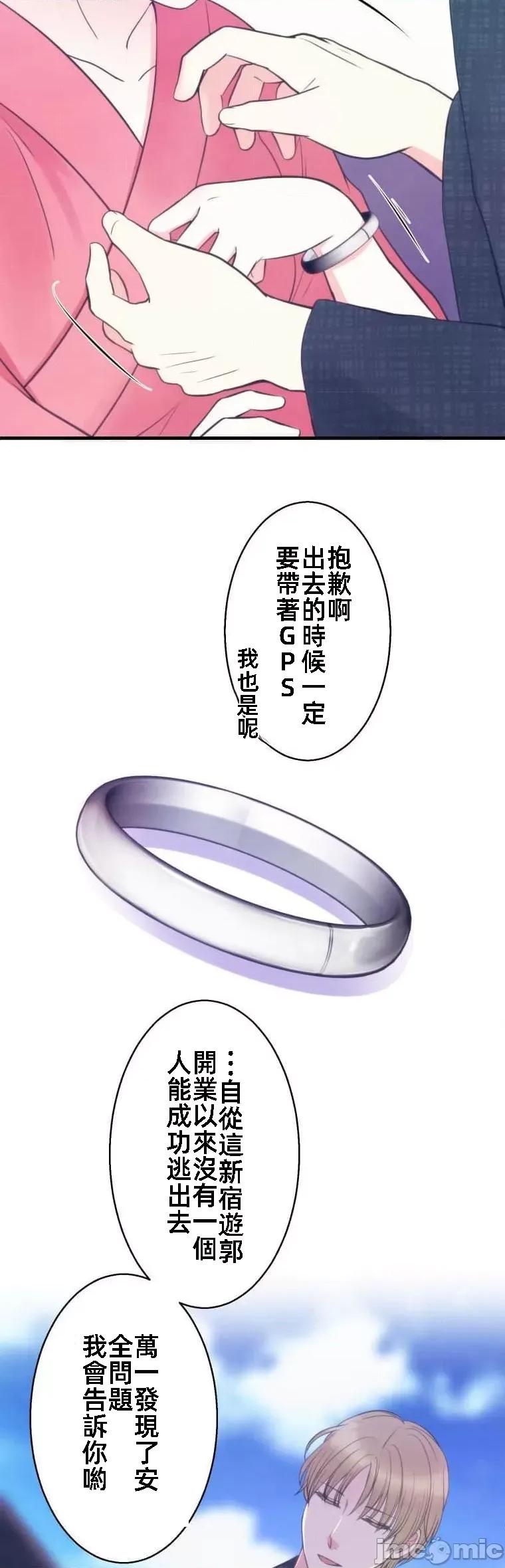 花魁玩偶～新宿游廓恋物语 花魁玩偶 9 第17页