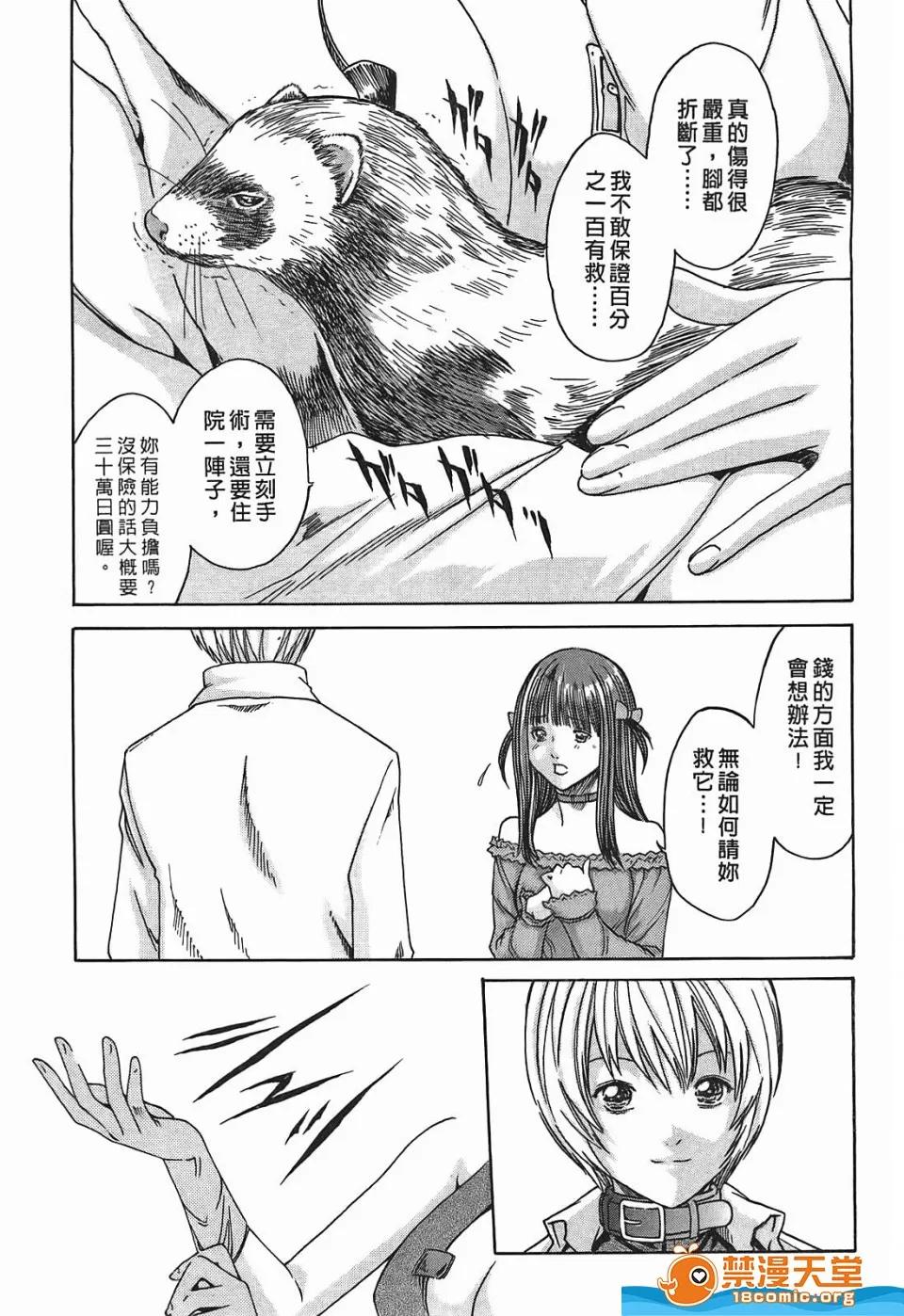 寄性兽医・铃音 寄性兽医・铃音[春辉]寄性兽医・铃音 第64页