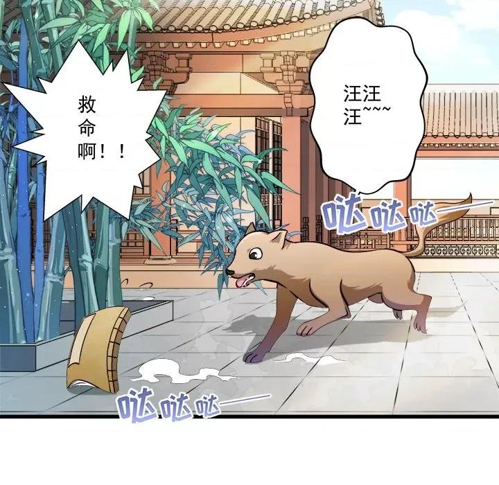 小皇书VS小皇叔 小皇书VS小皇叔-第 5 话 第12页