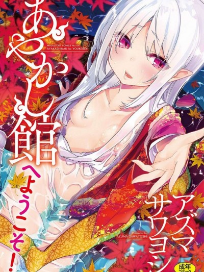 怪怪的娼馆