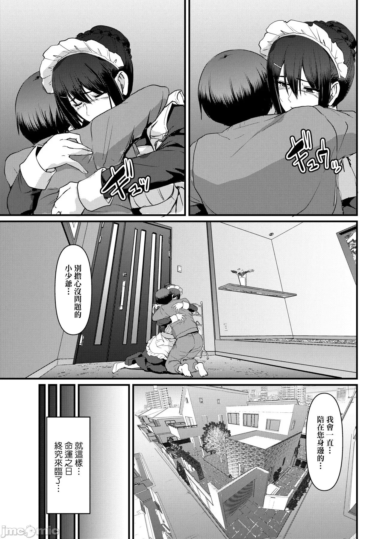 女僕的工作范畴 女僕的工作范畴[荒岸来步] メイドのおしごと。 [中国翻译] [无修正] [DL版] 第216页