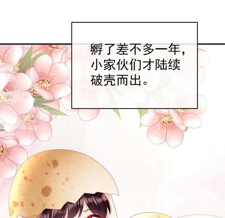 娇夫有喜 娇夫有喜-第 48 话 第41页