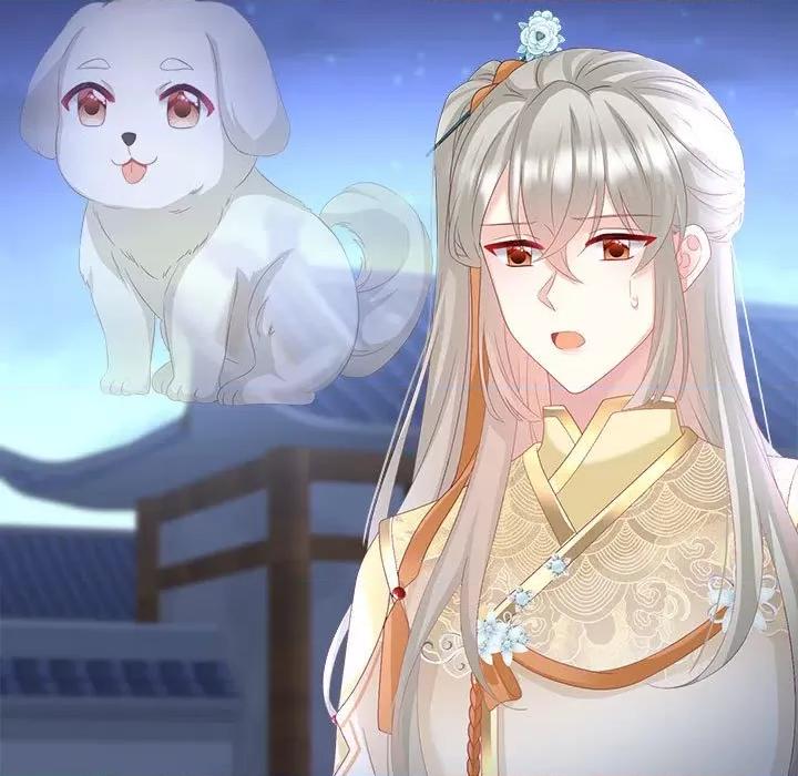 娇夫有喜 娇夫有喜-娇夫有喜 第71话 第19页