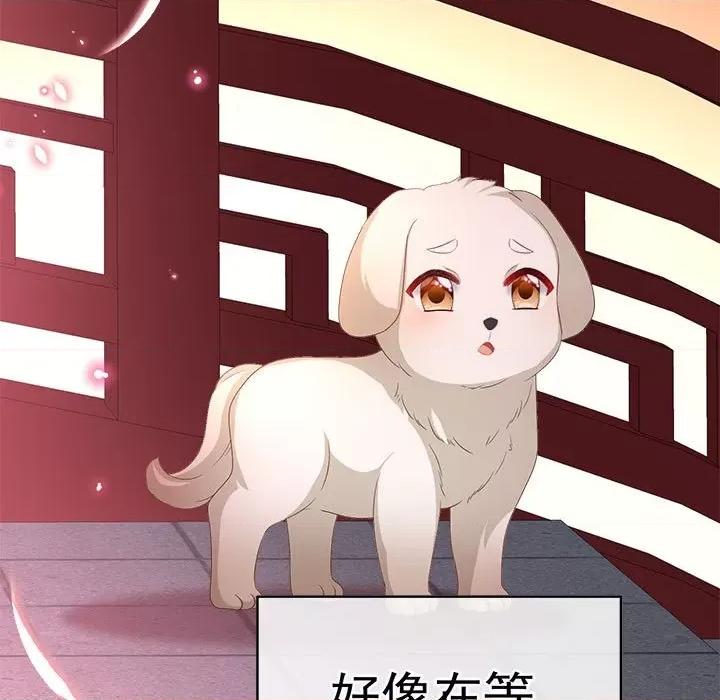 娇夫有喜 娇夫有喜-娇夫有喜 第71话 第28页