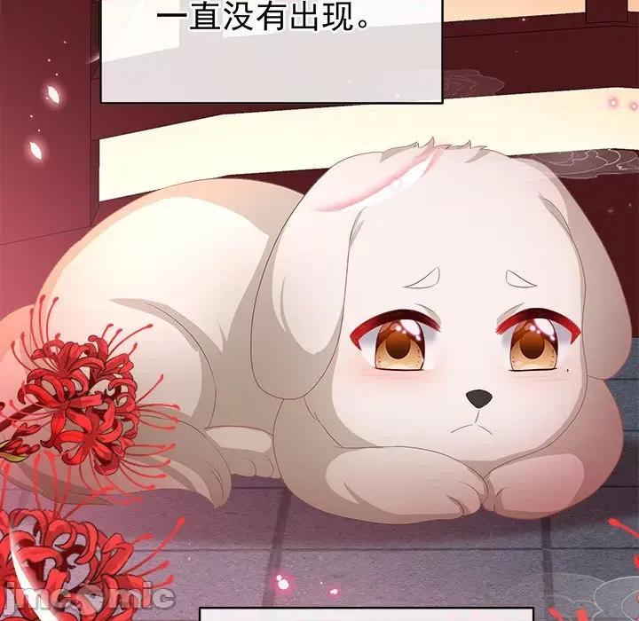 娇夫有喜 娇夫有喜-娇夫有喜 第71话 第30页