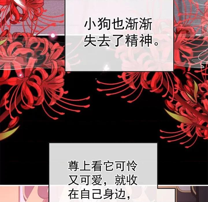 娇夫有喜 娇夫有喜-娇夫有喜 第71话 第31页
