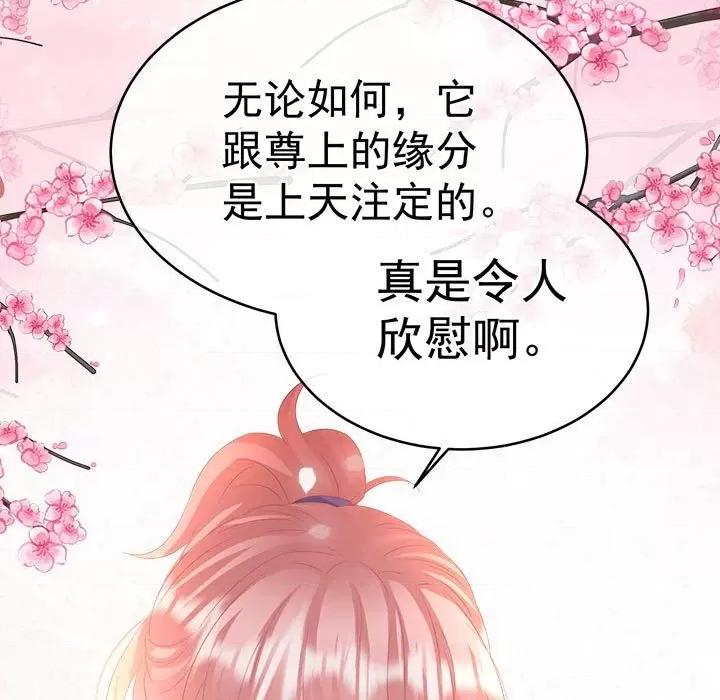 娇夫有喜 娇夫有喜-娇夫有喜 第71话 第48页