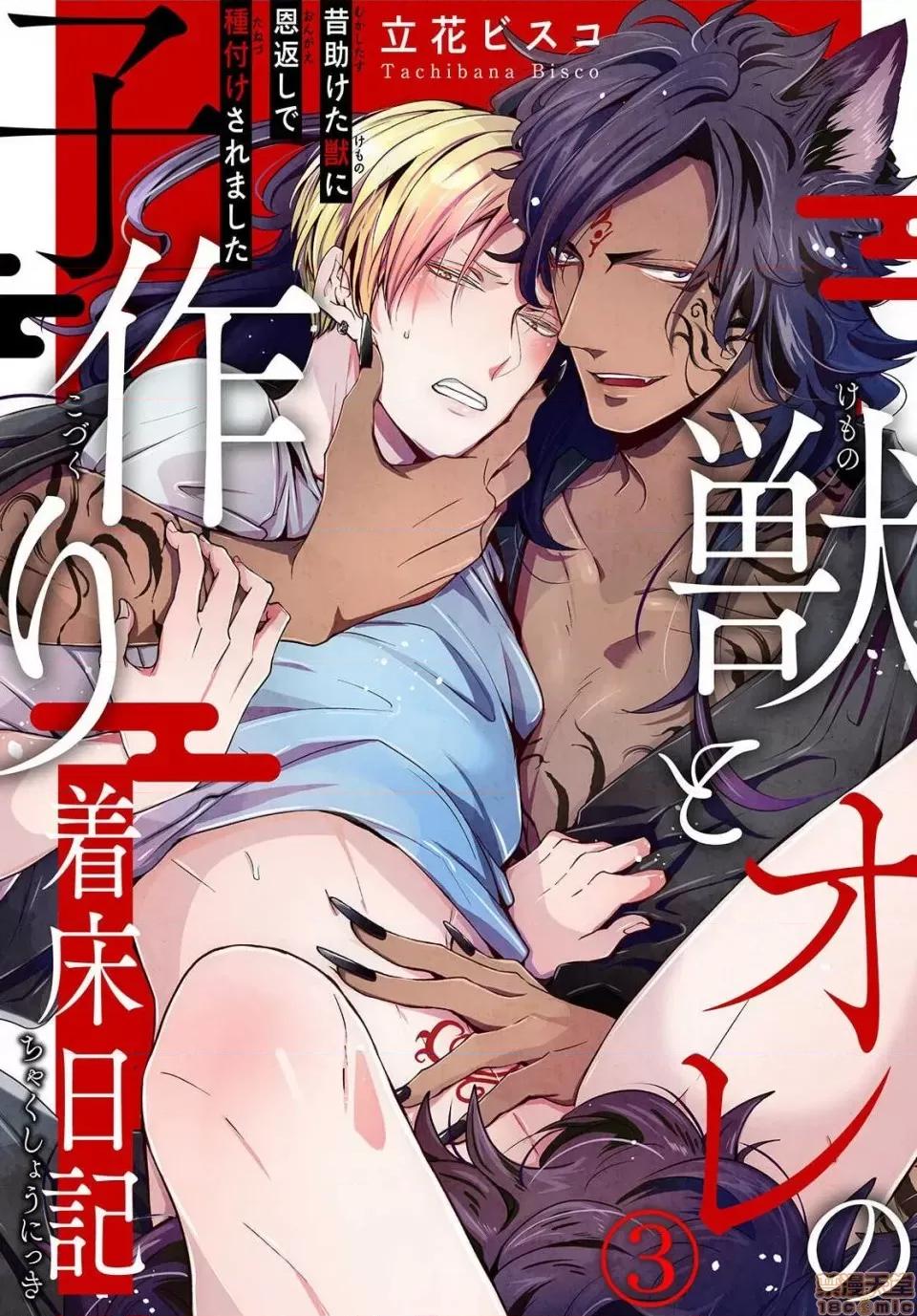 野兽与我的造人着床日记 兽とオレの子作り着床日记 3 第1页