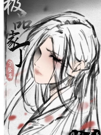 极品家丁