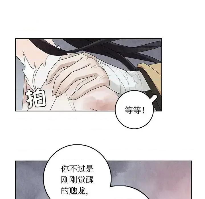 龙俦纪 龙俦纪-第 4 话 第71页