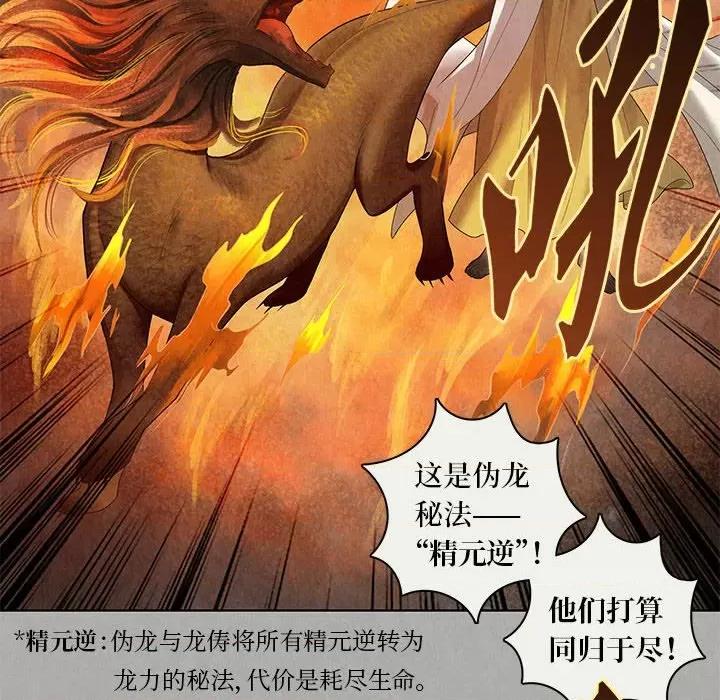龙俦纪 龙俦纪-第 86 话 第34页