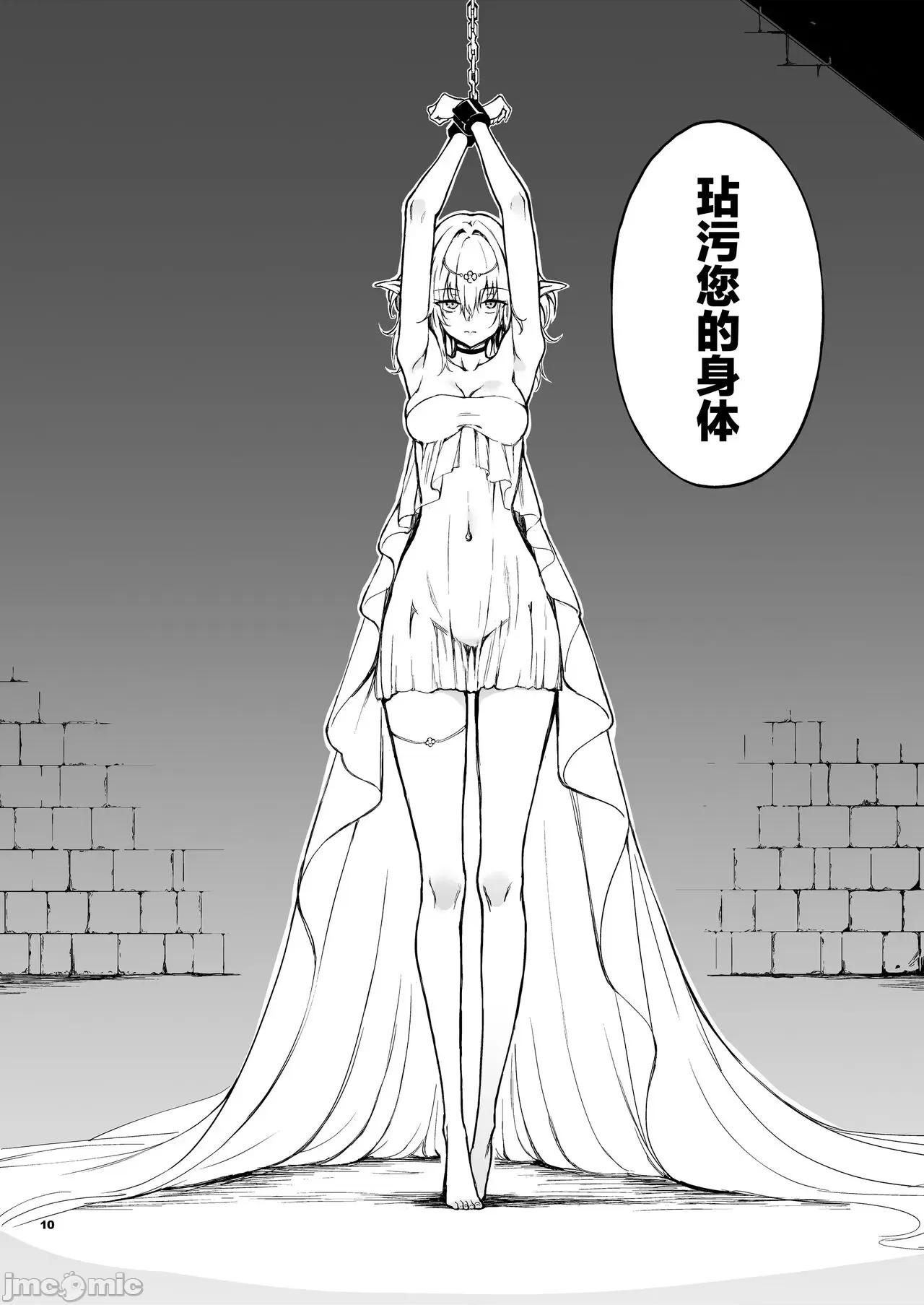 亡国的蜜丝特 精灵教育 - 亡国的蜜丝特 [驴子汉化组] (C104) [きょくちょ局 (きょくちょ)] エルフ教育。 -亡国のミスト- 第10页