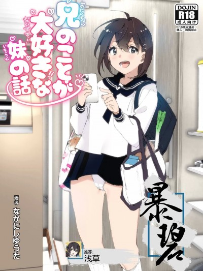 最喜欢哥哥的妹妹的故事