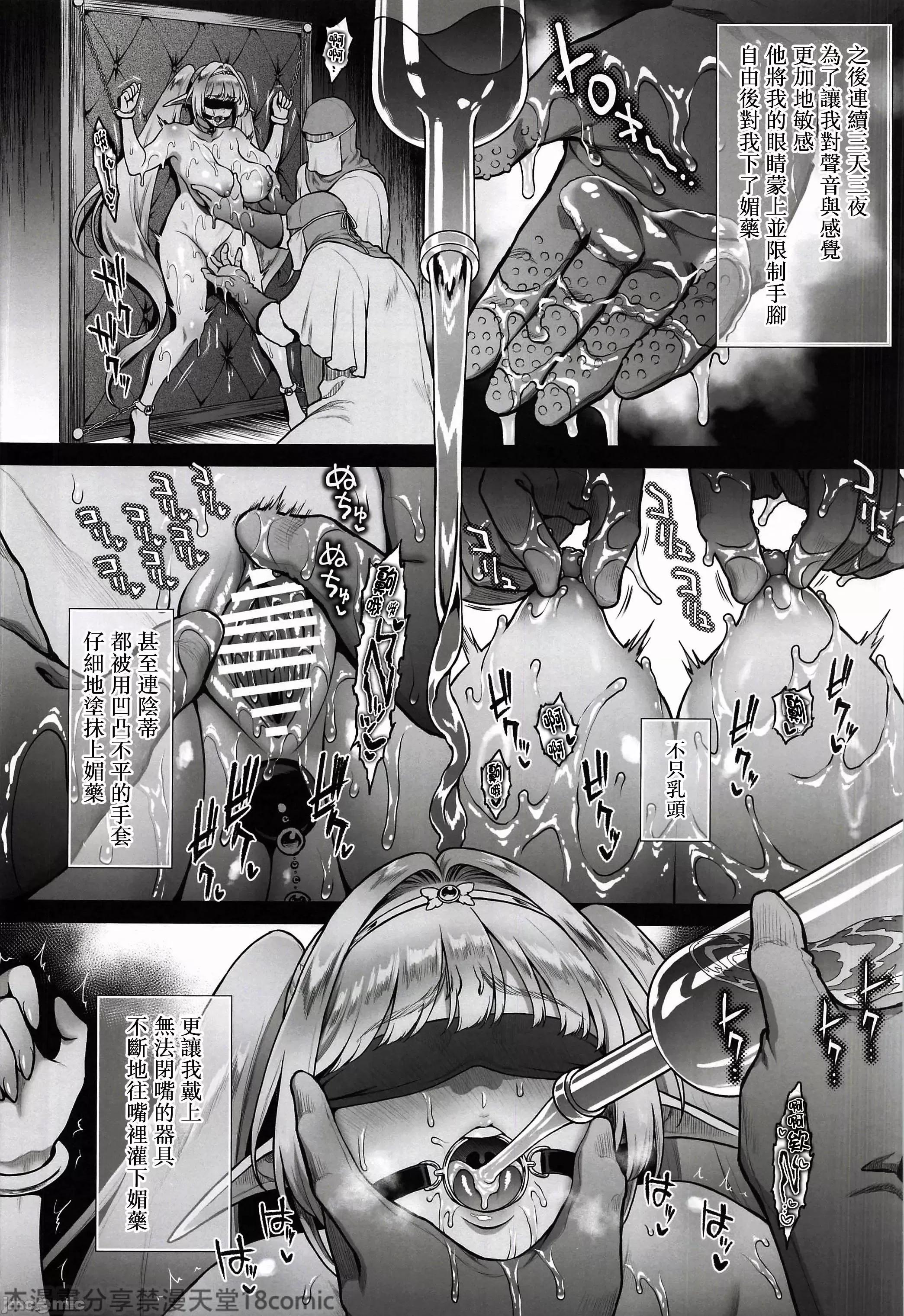 悠久の娼エルフ6〈梦幻〉过去编1 [禁漫汉化组](C105)[H.B.A(うさぎなごむ)]悠久の娼エルフ6〈梦幻〉过去编1(オリジナル) 第16页