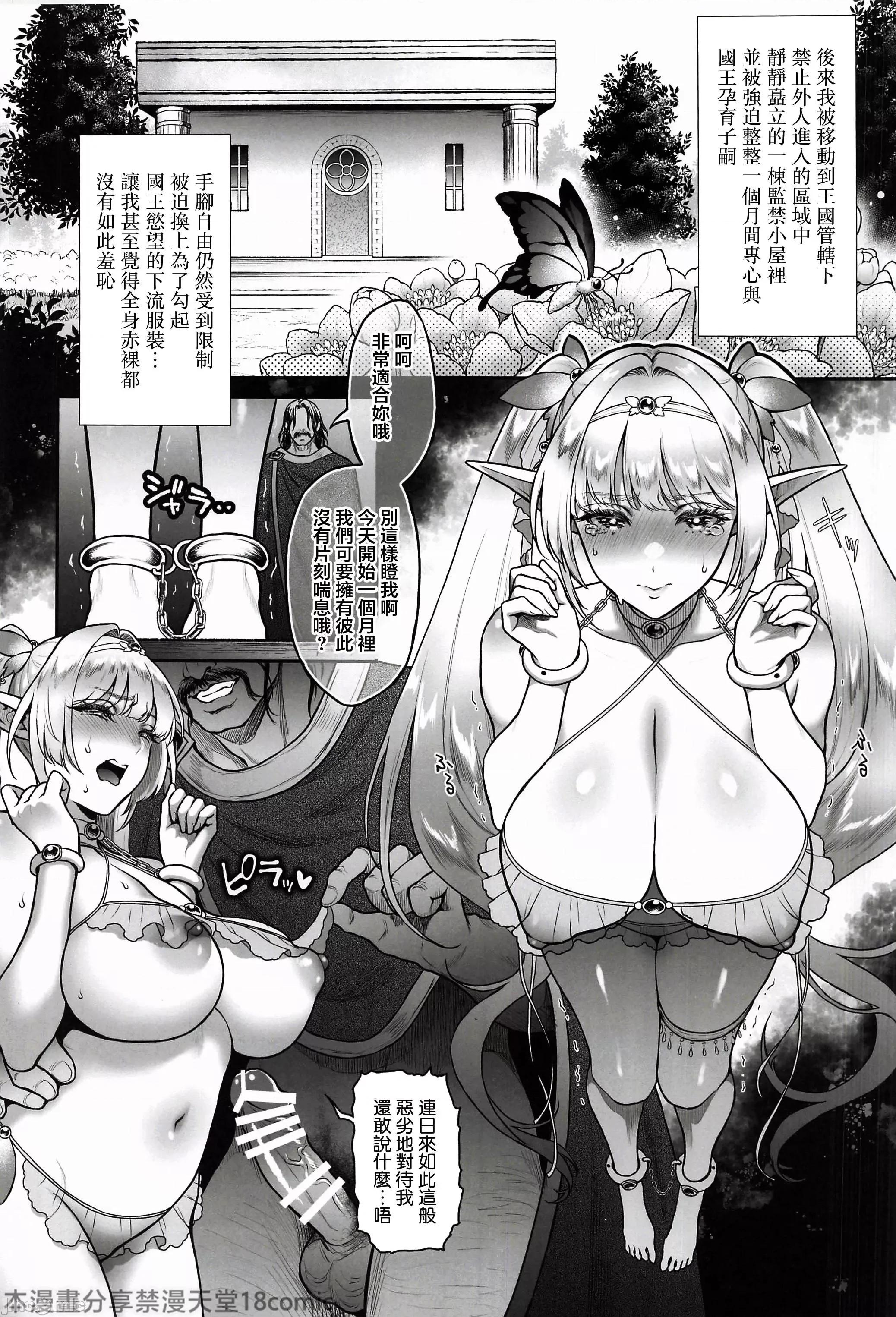 悠久の娼エルフ6〈梦幻〉过去编1 [禁漫汉化组](C105)[H.B.A(うさぎなごむ)]悠久の娼エルフ6〈梦幻〉过去编1(オリジナル) 第20页