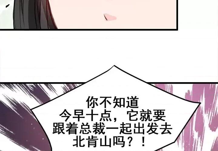 兽王的专宠 兽王的专宠-第 9 话 第3页