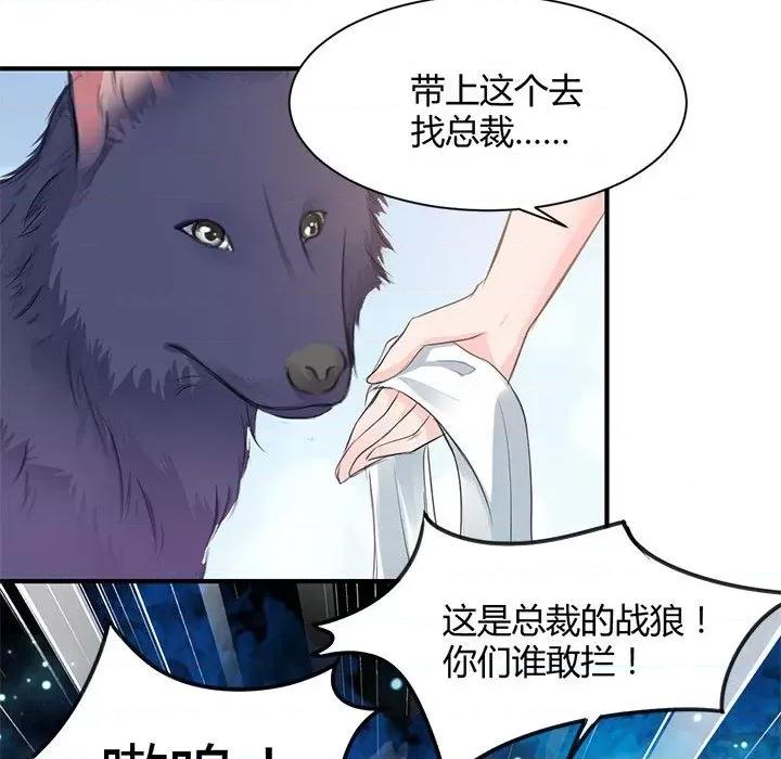 兽王的专宠 兽王的专宠-第 33 话 第67页
