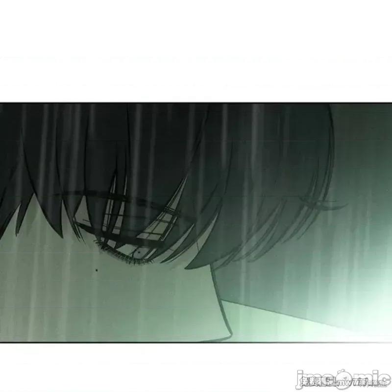 枯萎之花上的眼泪 枯萎之花上的眼泪 第236页