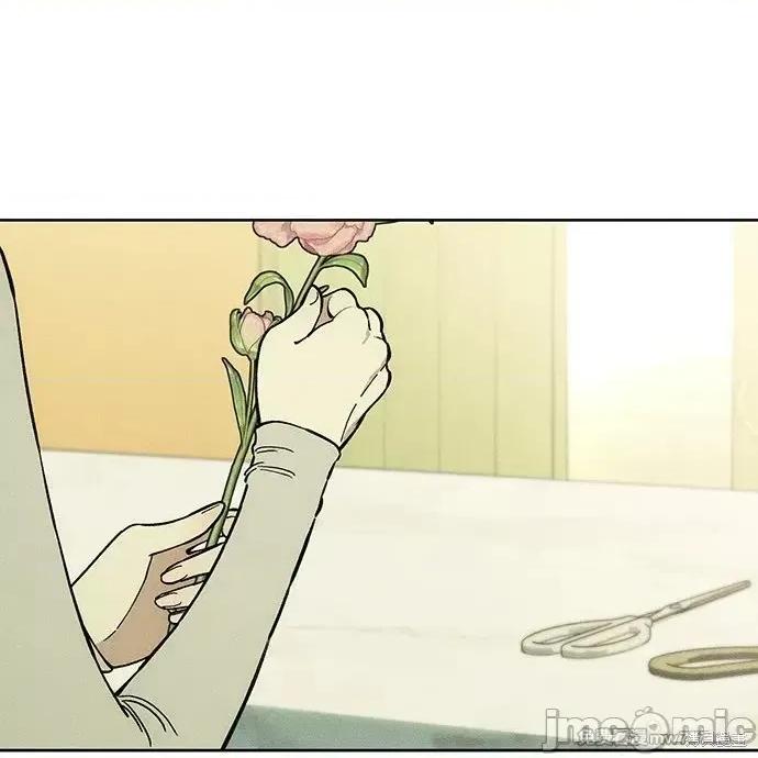 枯萎之花上的眼泪 枯萎之花上的眼泪 第164页