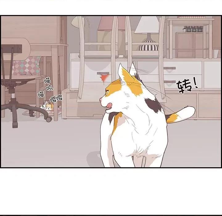 情不自禁爱上你 情不自禁爱上你第 48 话 第72页