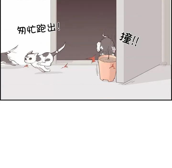 情不自禁爱上你 情不自禁爱上你-情不自禁爱上你 第59话 第37页