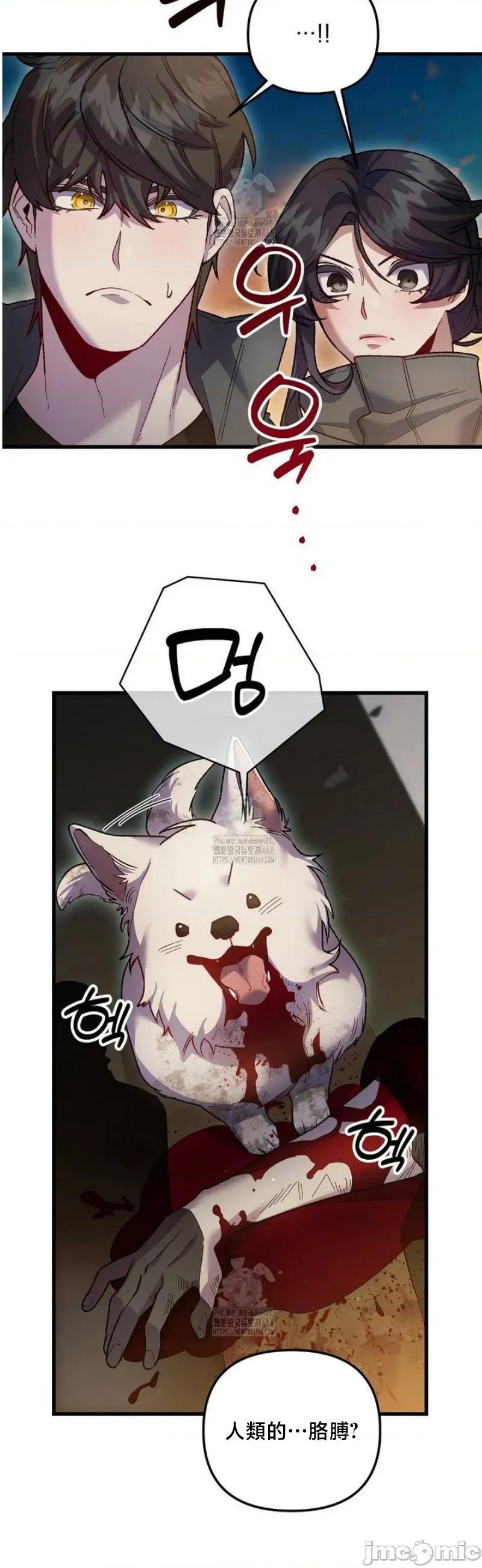 開槍吧 開槍吧	18 第15页