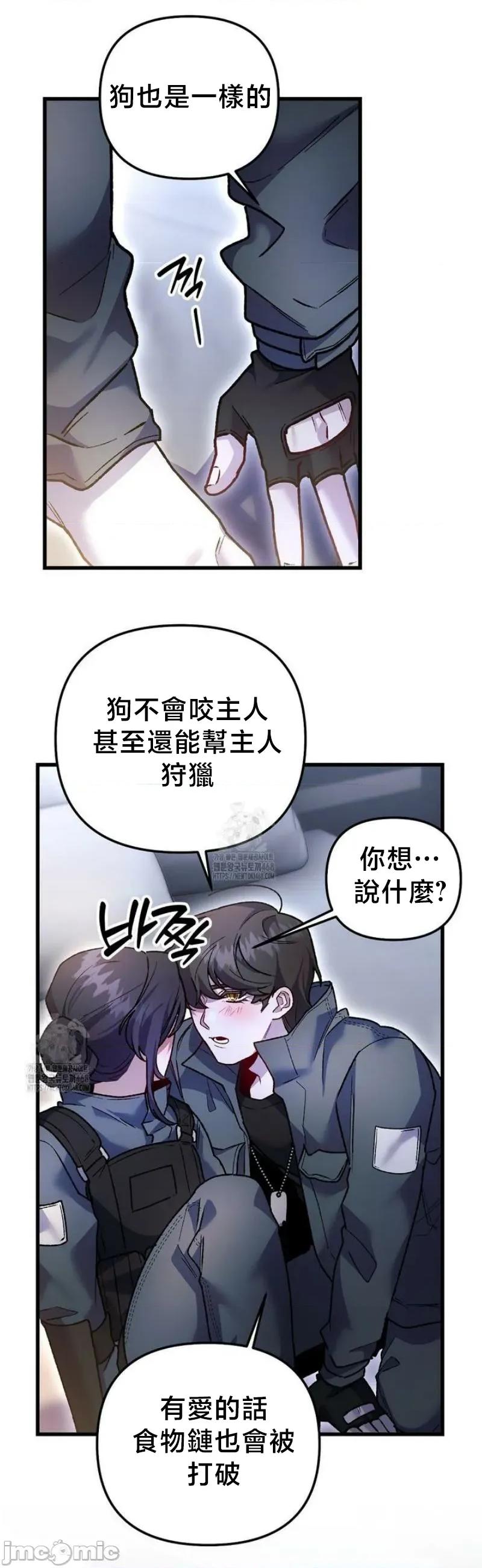 開槍吧 開槍吧	19 第16页