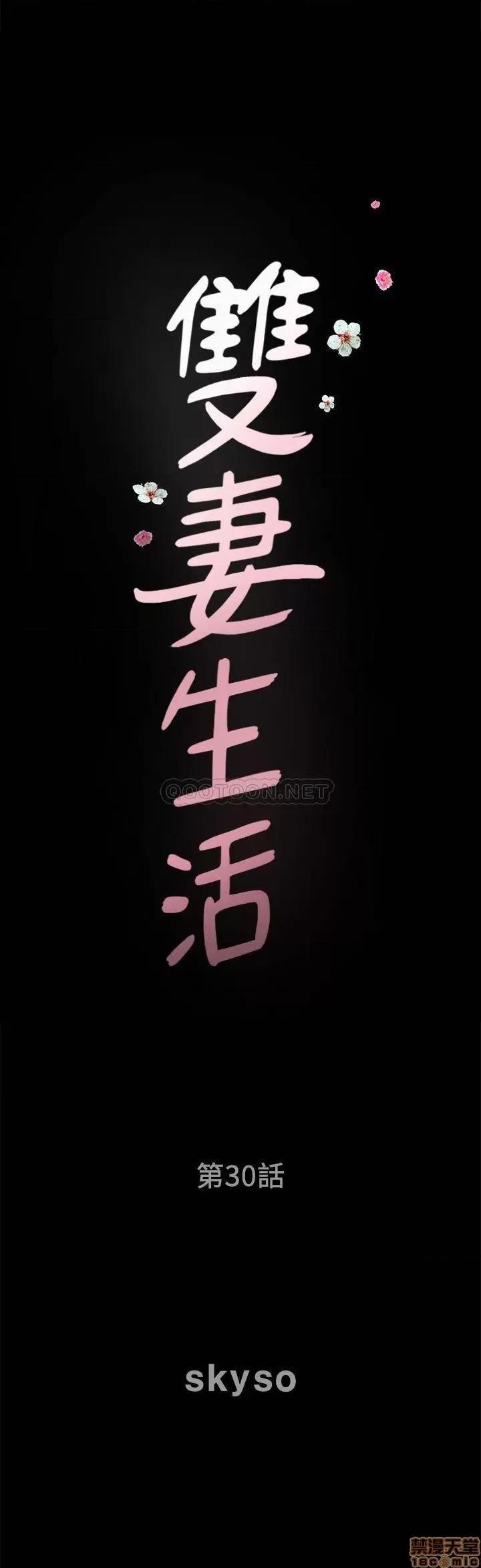双妻生活 双妻生活 30 第2页