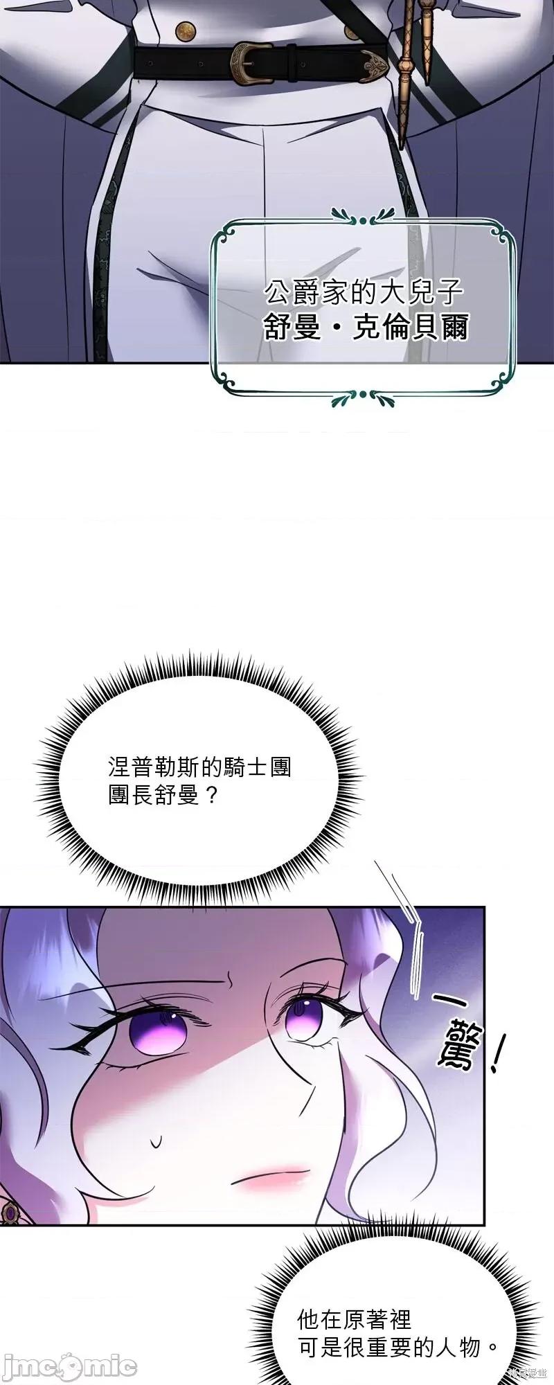 反派亲王妃的危险双重生活 反派亲王妃的危险双重生活 第40页