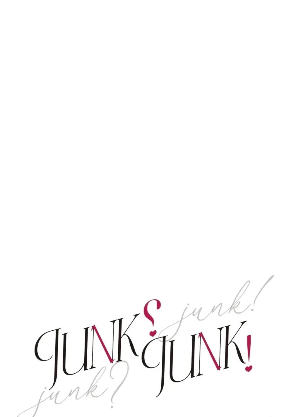 Junk? Junk? Junk!-第30话 第28页