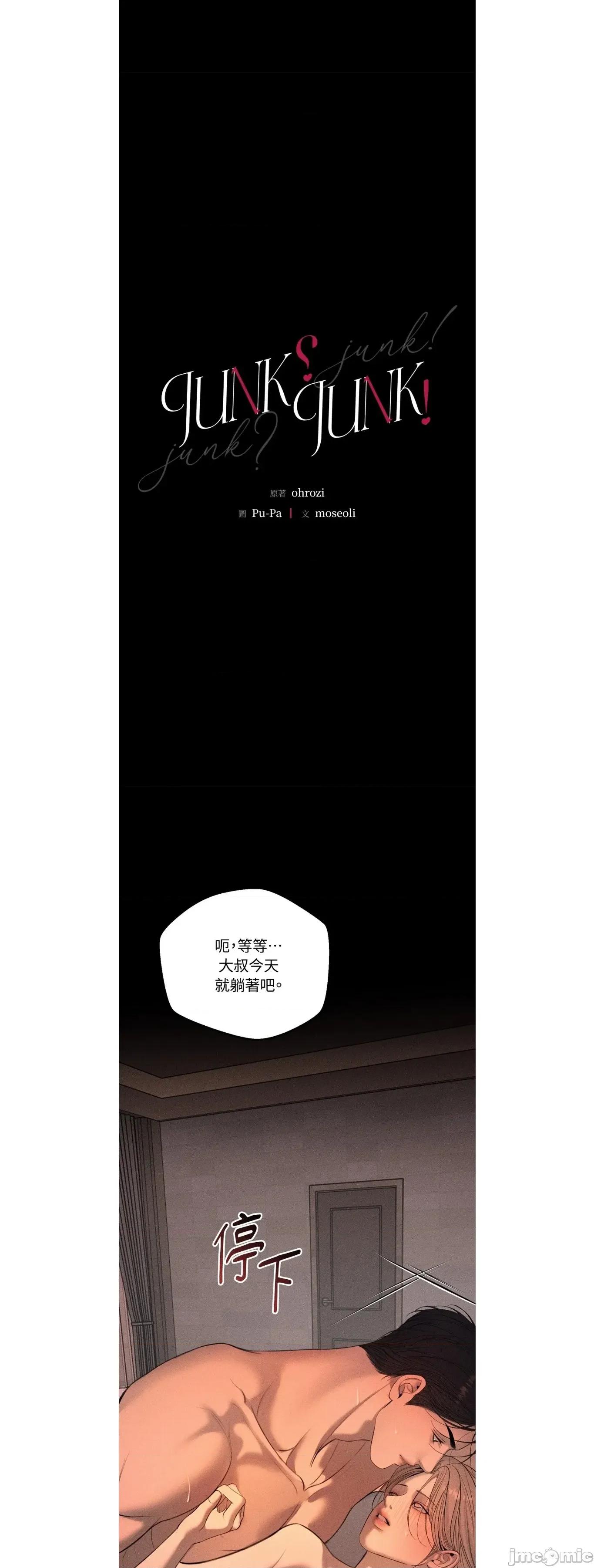 Junk? junk33 第13页