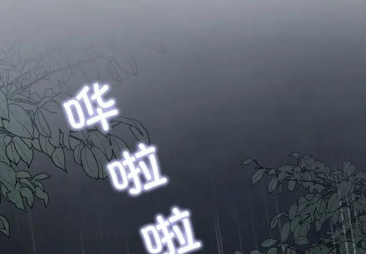 那年的雨夜奇遇 雨夜奇遇-雨夜奇遇 第25话 第4页