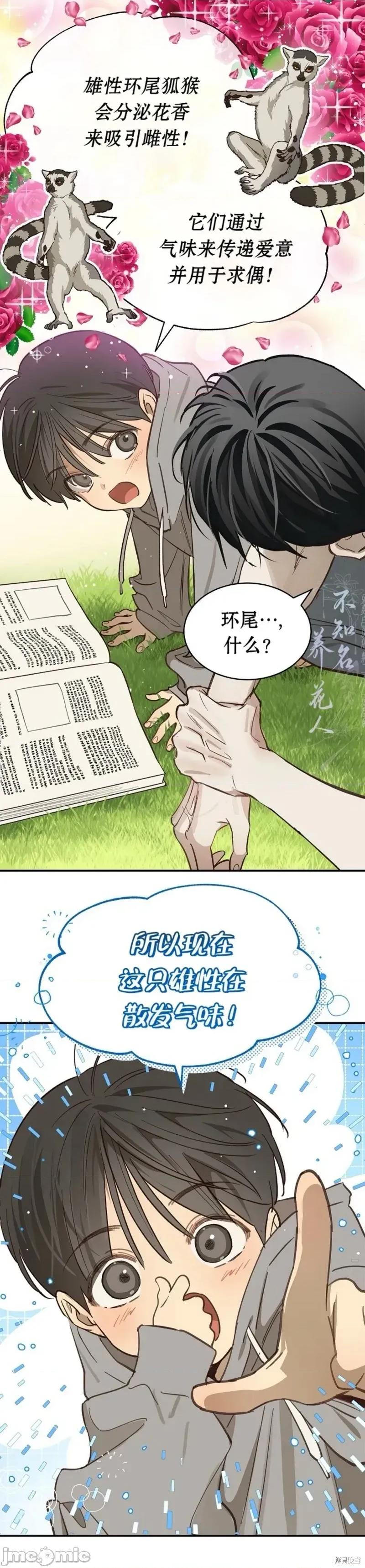 诱饵之花 花是诱饵 25 第5页