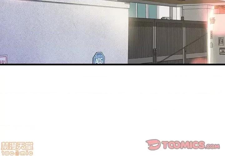 故乡的那些女人 故乡的那些女人 6 第3页