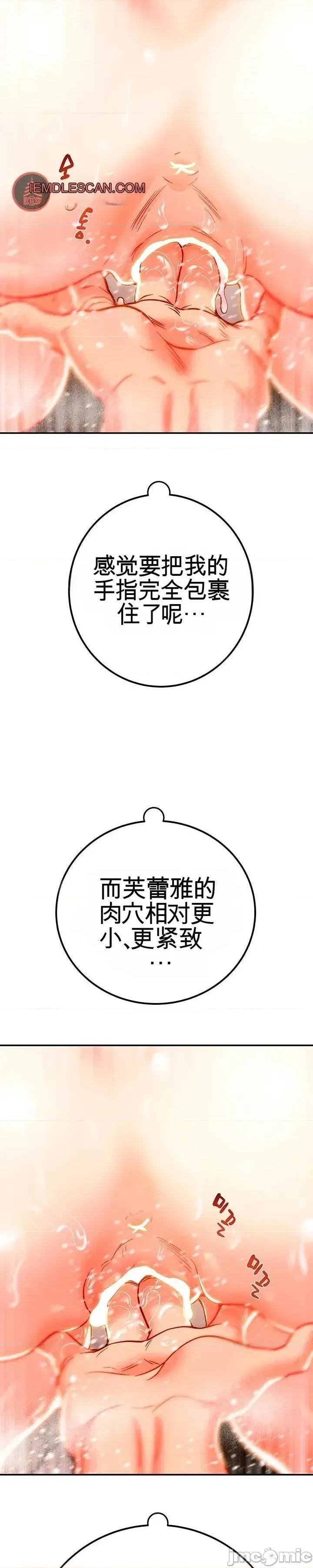 人在北欧，锤子没了 人在北欧，锤子没了34 第31页