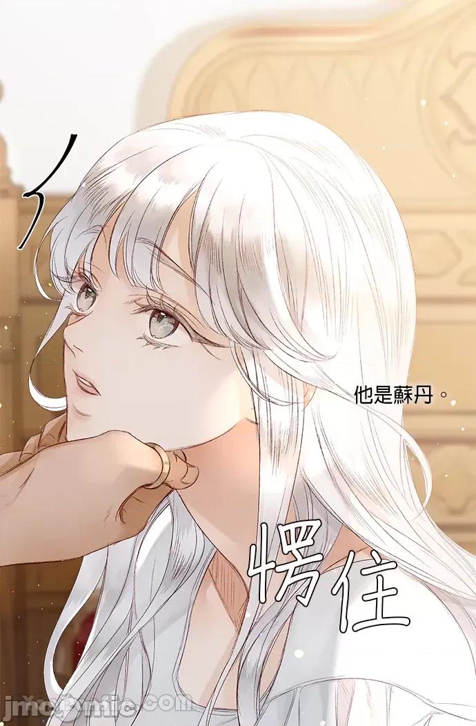 苏丹之花 苏丹之花-3 第29页