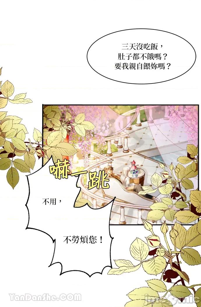 苏丹之花 苏丹之花-3 第41页