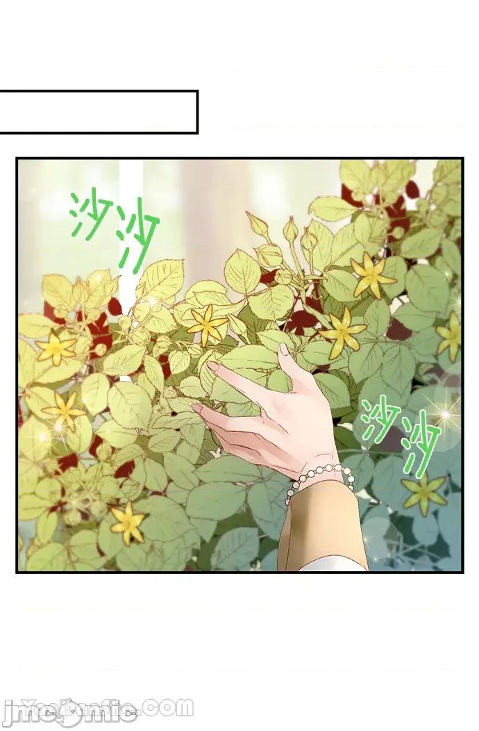 苏丹之花 苏丹之花-7 第43页