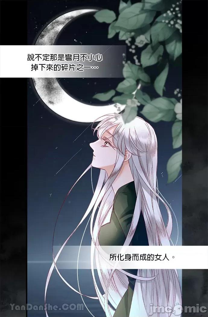 苏丹之花 苏丹之花-9 第35页