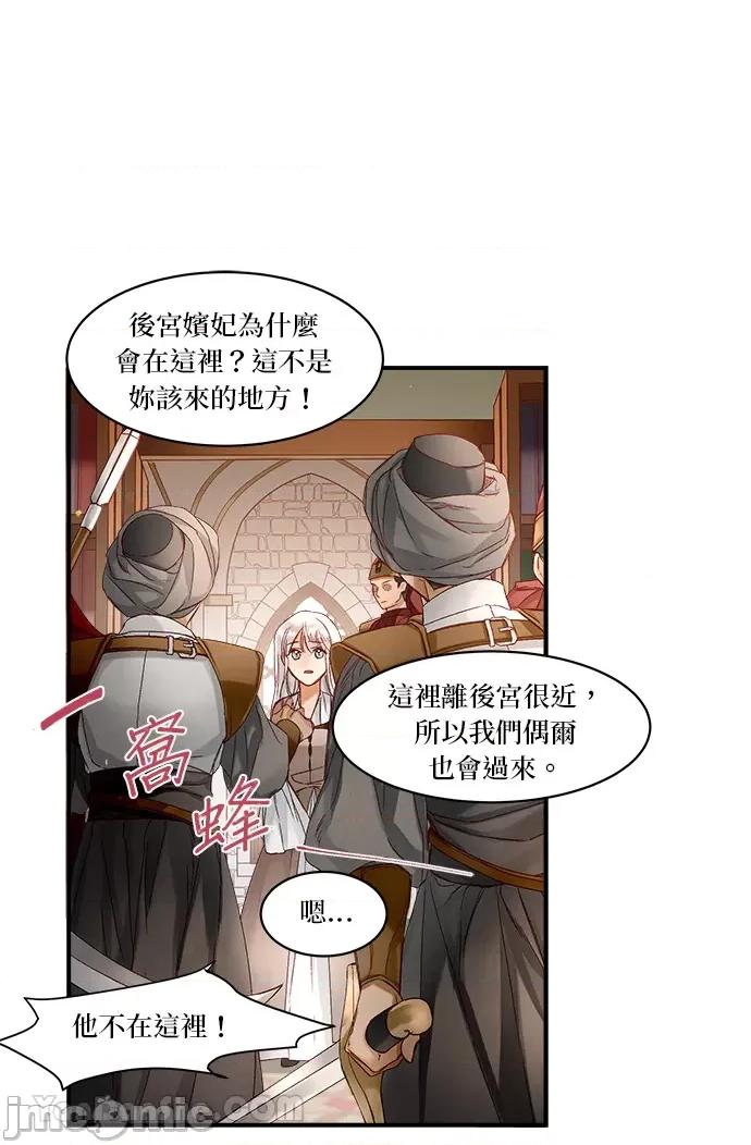 苏丹之花 苏丹之花-10 第65页