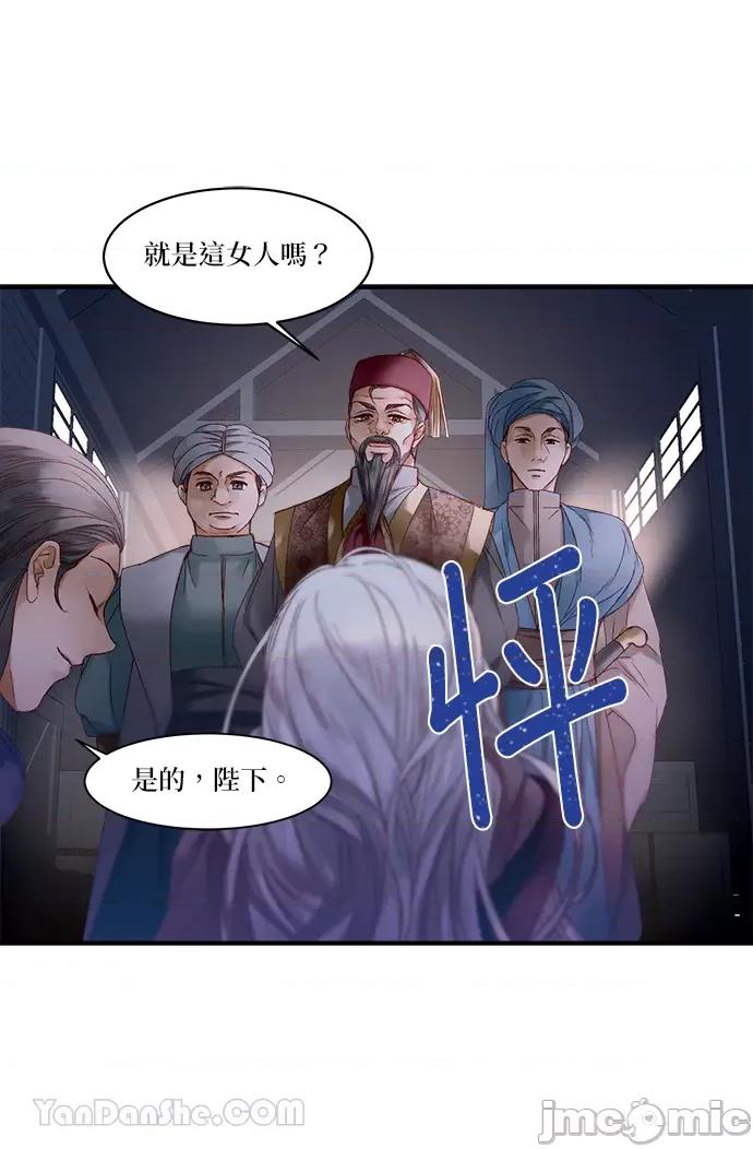 苏丹之花 苏丹之花-13 第41页