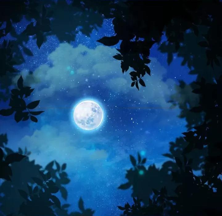 云想之歌 云想之歌-《笼中之恋》-第 51 话 第83页