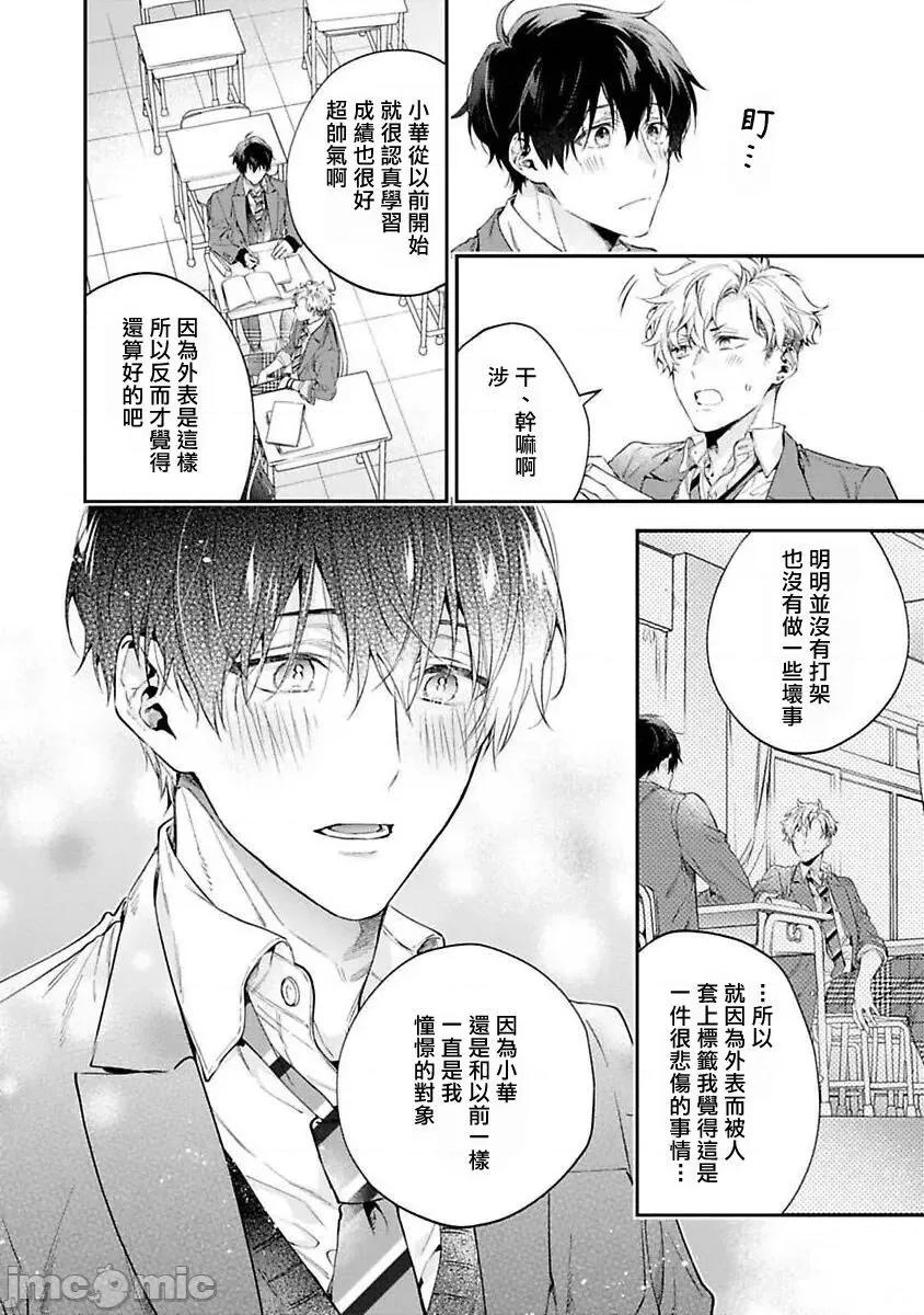 不良少年华他无原则娇惯小男友 [鲑田ねね] ヤンキーはなちゃんの猫かわいがり彼氏 4 第13页