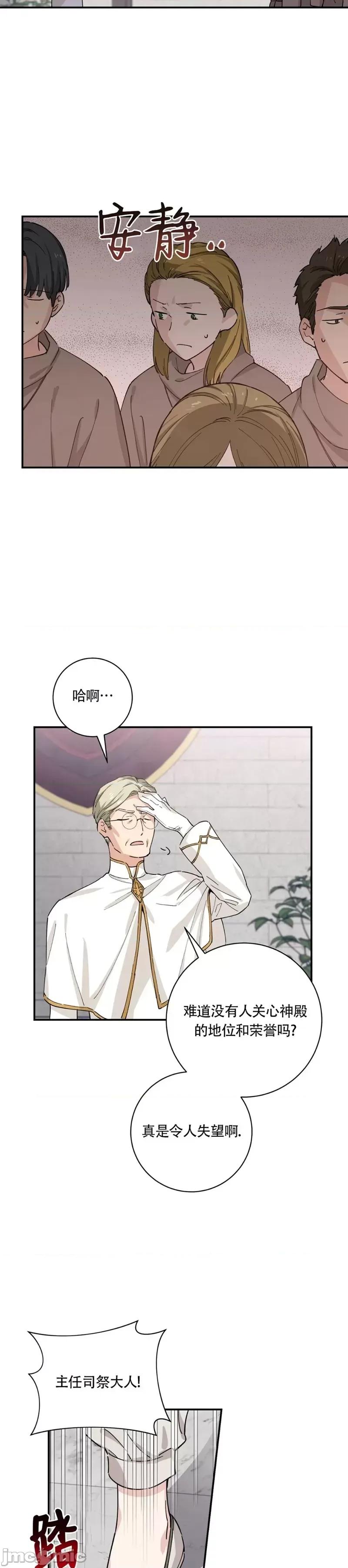 吞噬魔法师的少女 吞噬魔法师的少女 第13页