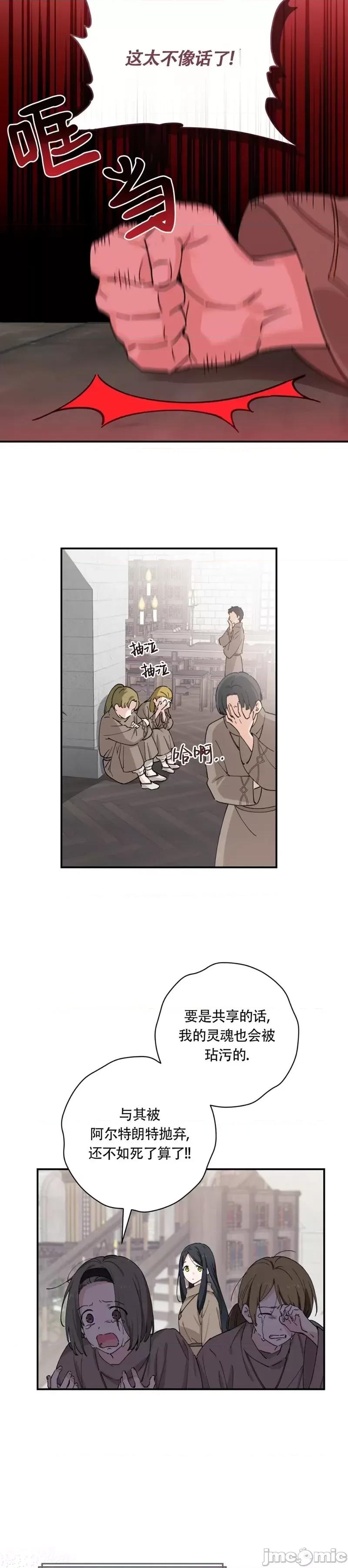 吞噬魔法师的少女 吞噬魔法师的少女 第20页