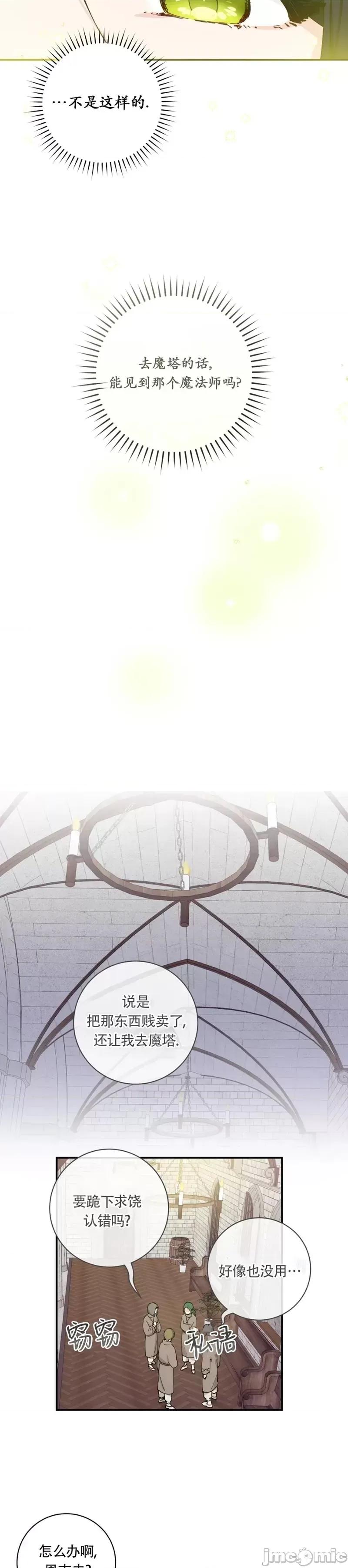 吞噬魔法师的少女 吞噬魔法师的少女 第24页