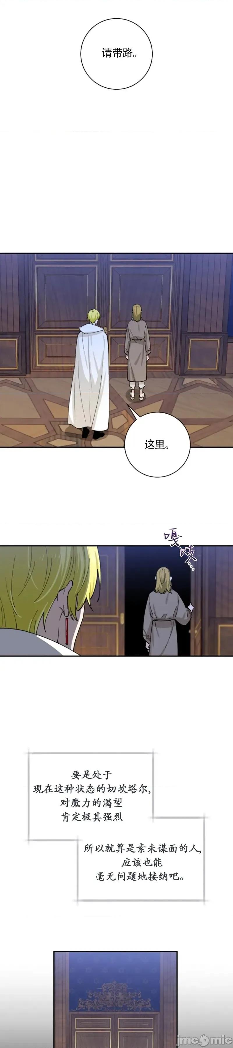 吞噬魔法师的少女 吞噬魔法师的少女04 第31页