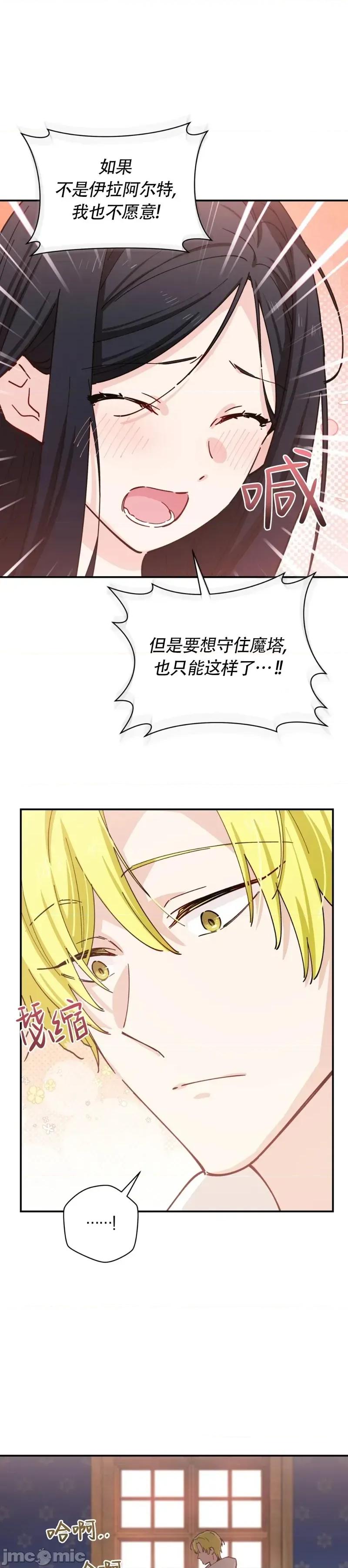 吞噬魔法师的少女 吞噬魔法师的少女6 第27页